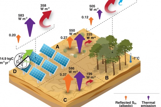 La energía fotovoltaica es mejor que la forestación para combatir el cambio climático
